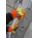 Product Image #3
