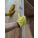Product Image #3