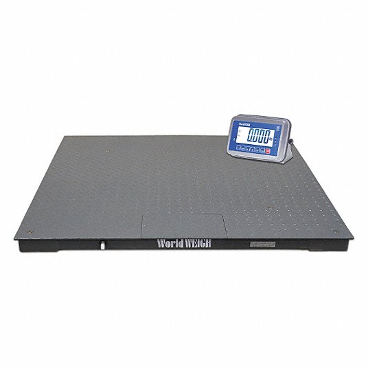 Platform Floor Scale: 5,000 lb Wt Capacity, 48 in Weighing Surface Dp, lb/kg, 1 lb
