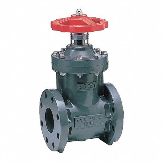 ASAHI Gate Valve, Flange Connection Type 49FA121251080 Grainger