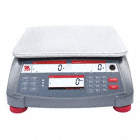 COMPACT COUNTING BENCH SCALE,INVENTORY