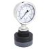 Gauge with Thermoplastic Seal