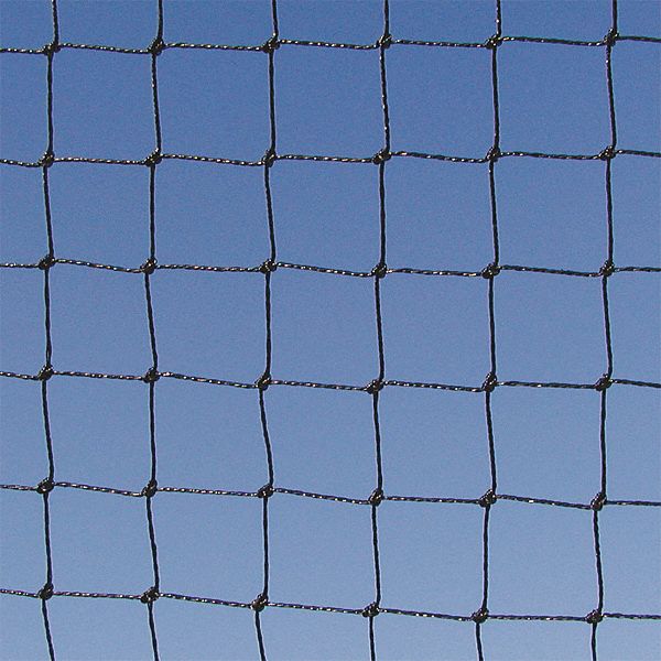 Bird Repellent Netting: Bird Repellent Netting, Heavy, 3, 750 sq ft Coverage Area, Black