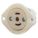 Primary Product Image