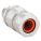 Primary Product Image
