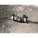 Product Image #6
