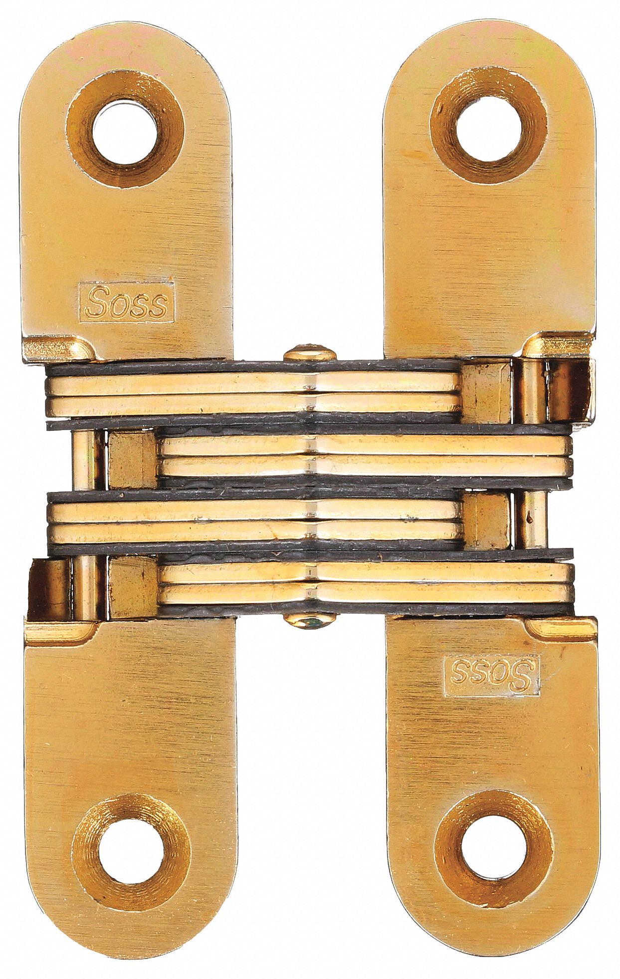 Concealed Hinge: Brass, 3 3/4 in Leaf Ht, 3/4 in Leaf Wd, Full Mortise Mounting