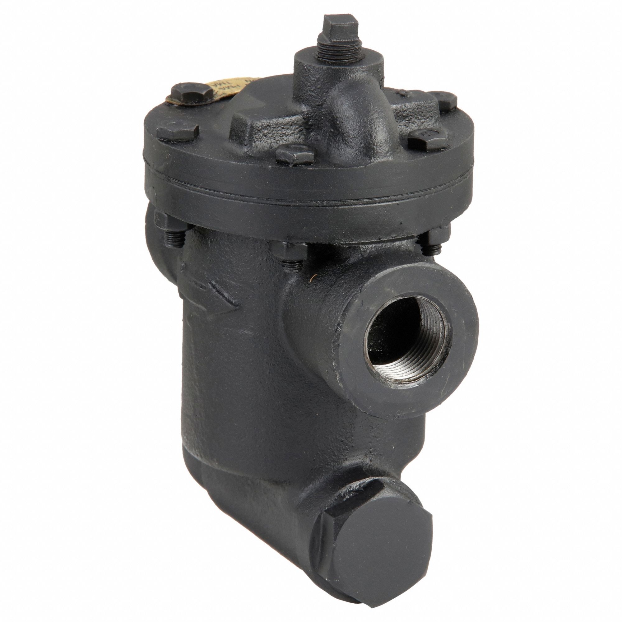 Steam Trap: Cast Iron, 3/4 in FNPT, 570 lb/hr, 150 psi Max., 450°F Max., Strainer Included