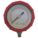 PRESSURE GAUGE,4 IN,30 PSI,LOWER,RE