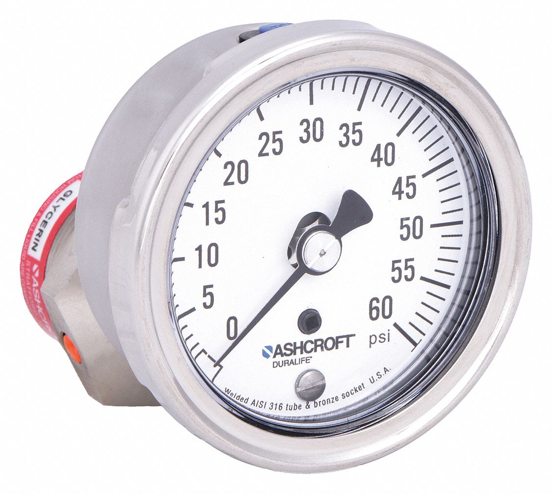 Pressure Gauge with Diaphragm Seal: 0 psi to 60 psi, 1009/310-315, 2 1/2 in Dial, Glycerin