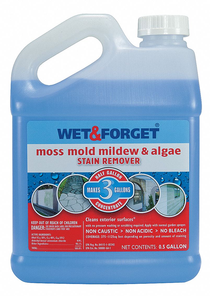 WET AND Mold, Mildew, Moss, Algae Remover, 64 oz. Spray, 1 EA