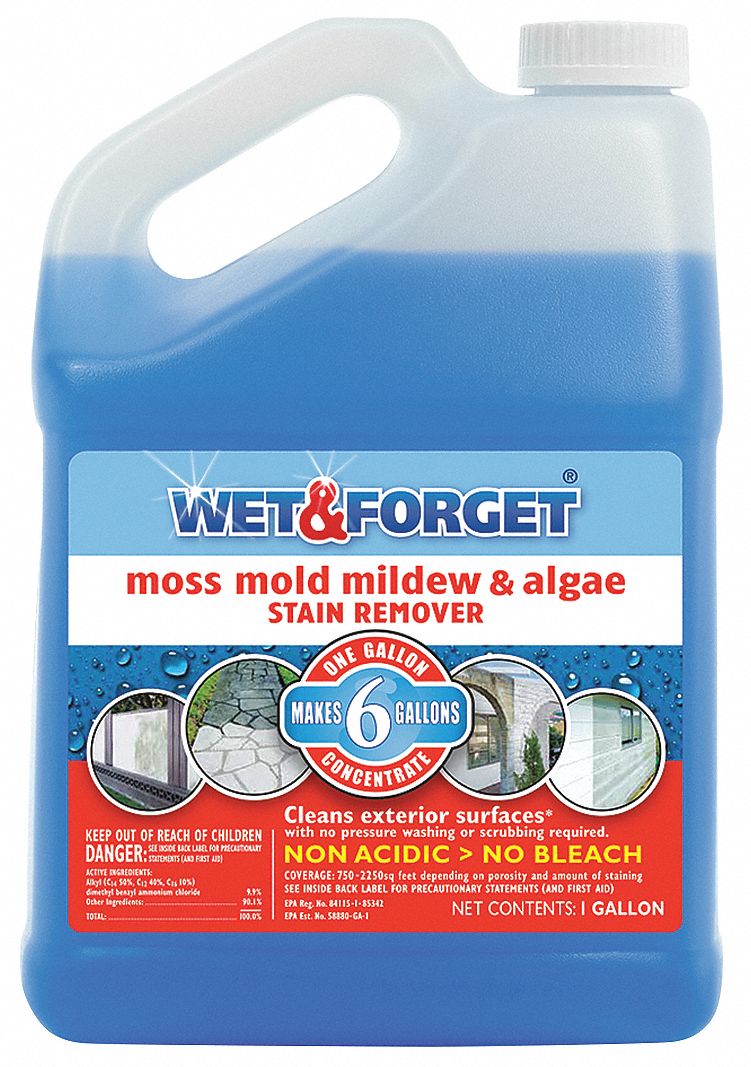 Wet And Algae, Mildew, Mold, Moss Remover, 1 gal