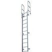 Steel Fixed Ladders with Walk-Thru Included image