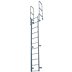 Steel Fixed Ladders with Walk-Thru Included