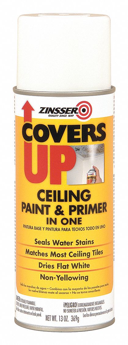 Zinsser Zinsser Acoustical Ceiling Tile Spray Paint In Flat White