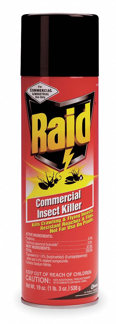 Insecticide, Aerosol, 19 oz. - Grainger