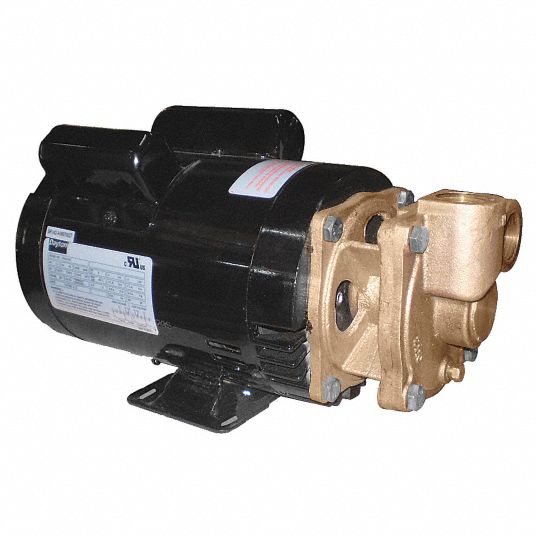 DAYTON Turbine pump - 4JPE4|4JPE4 - Grainger