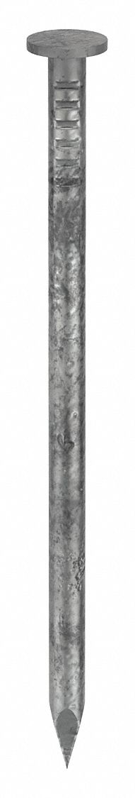 Common Nail, 4 in, 6 ga, PK31: Common Nails, 4 in Lg, 0.192 in Shank Dia, Smooth, Flat, Steel, 31 PK