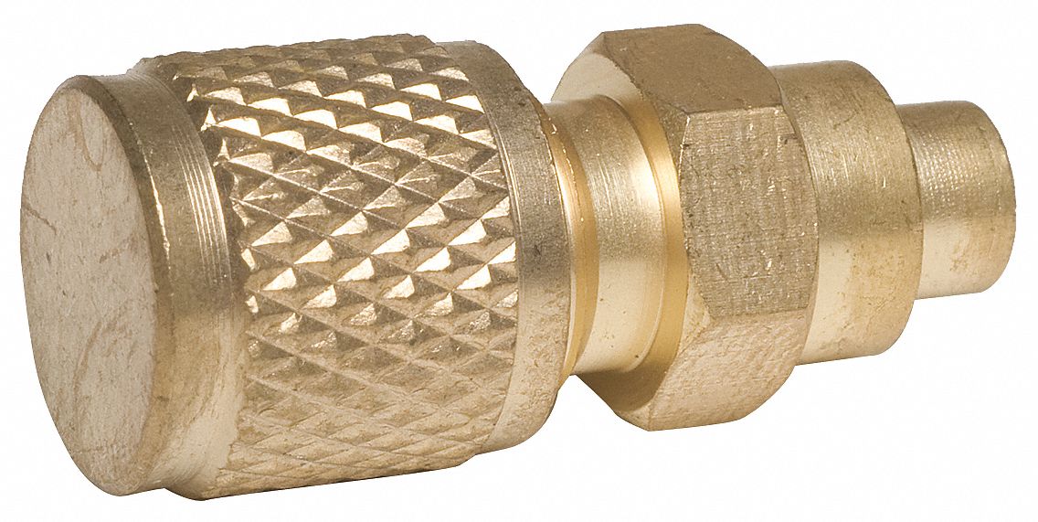 Access Valve,  Brass,  PK6