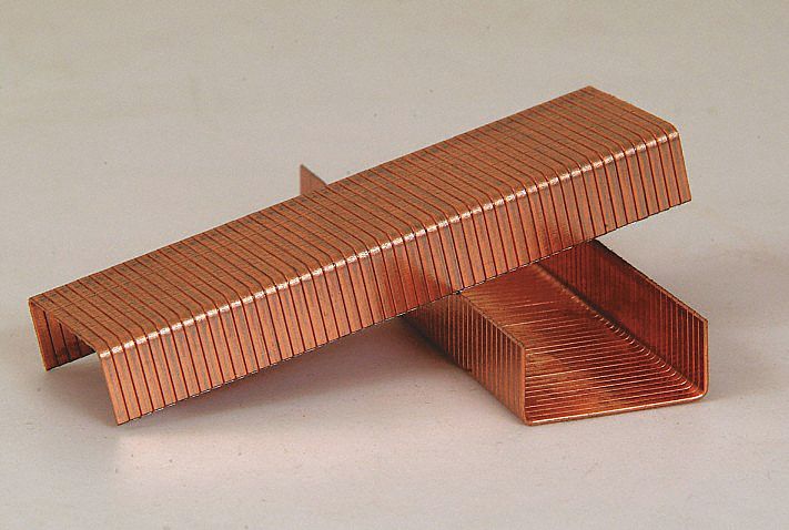 Carton Staples Coil A Crown PK25000