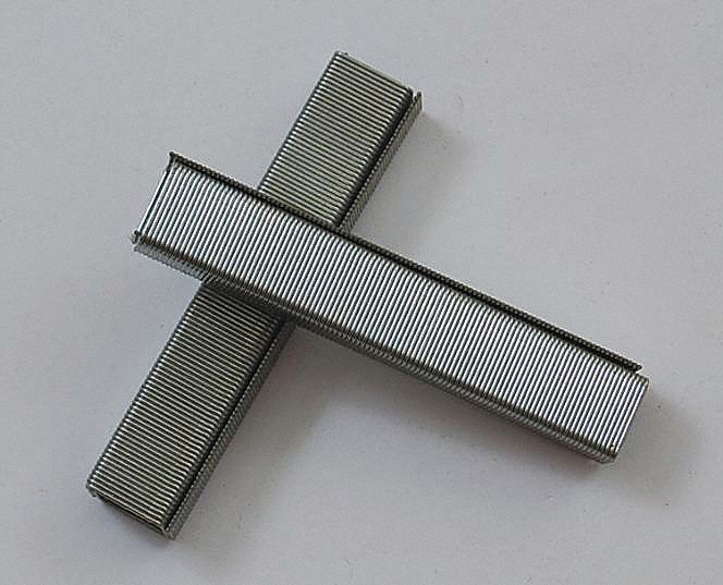 Carton Staples Coil 1/4 Leg L PK100000