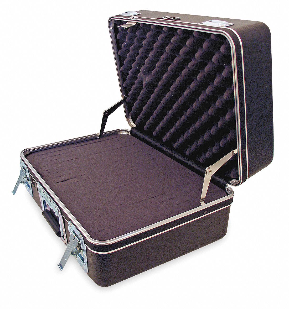 ProtCase, 5 in, TSACombLckRecLtch, Blk