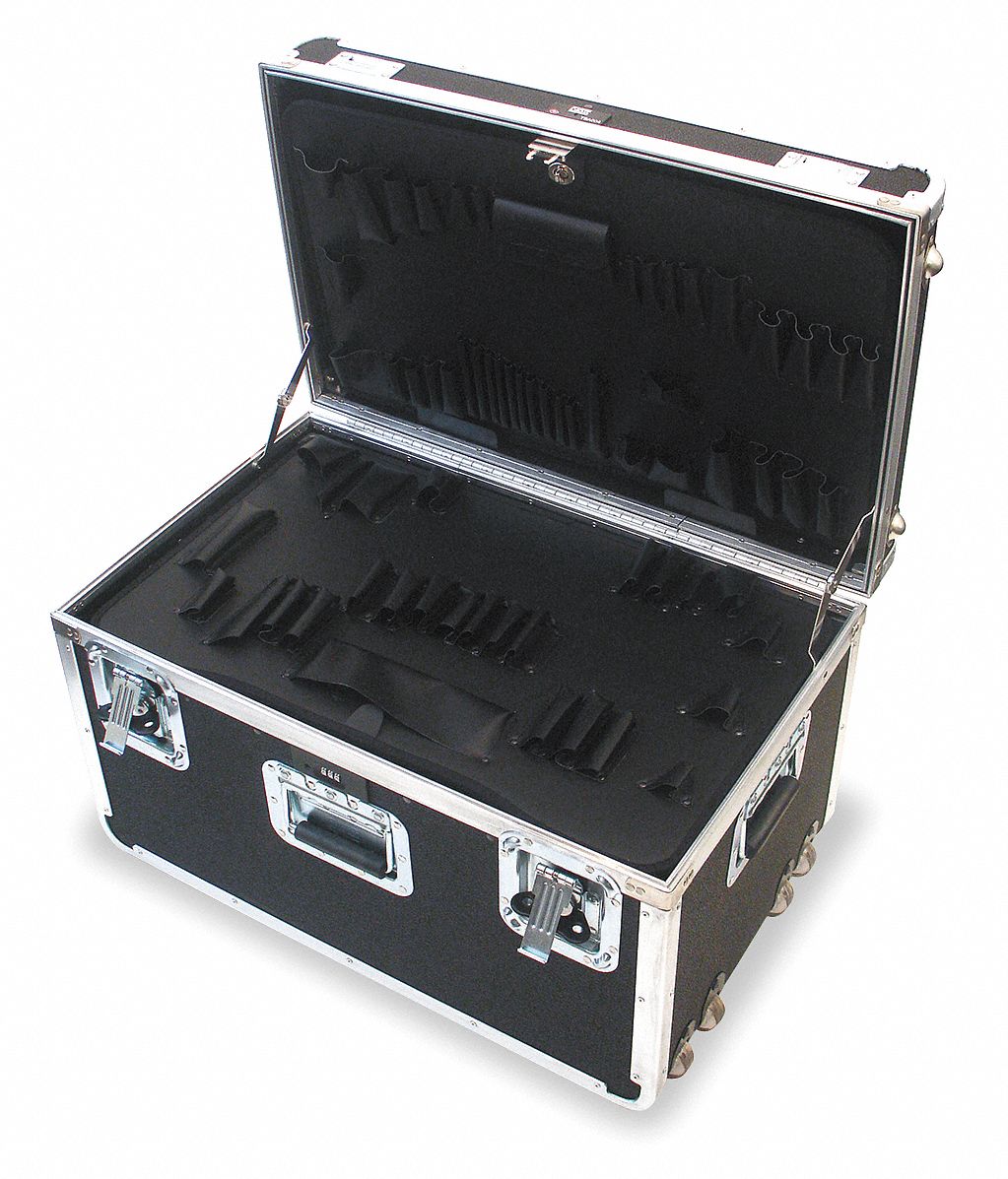 ProtCase, 10 in, TSACombLckRecLtch, Blk