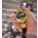 Product Image #2