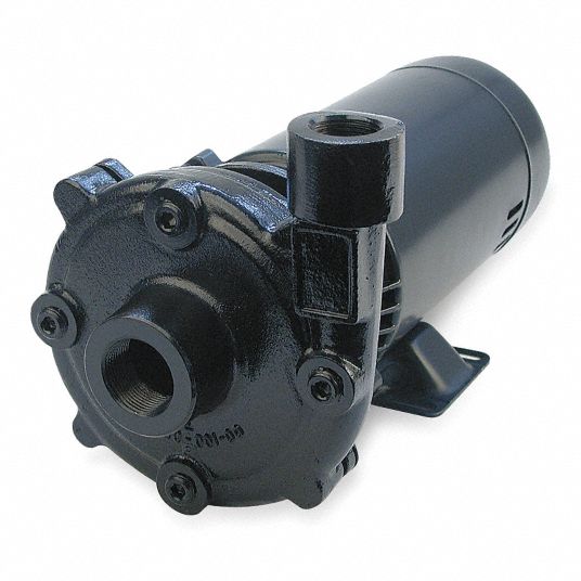 DAYTON Centrifugal Pump Inlet Size 4TU674TU67 Grainger