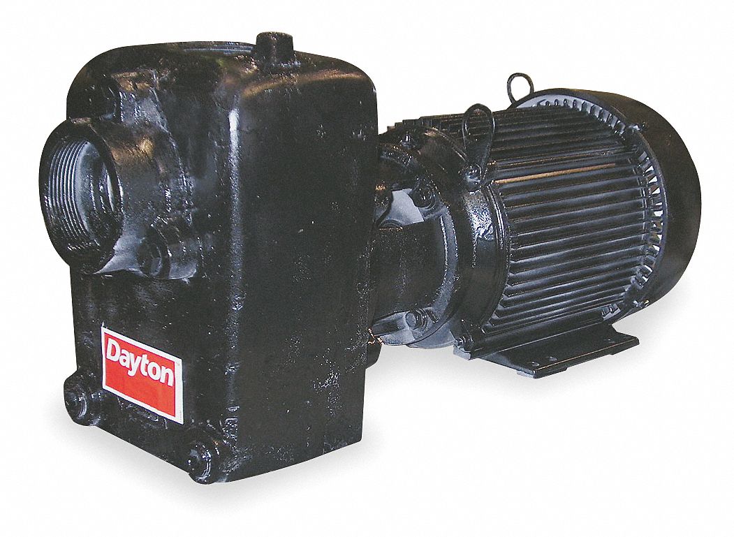Goulds Pumps - AC Straight Pump: 208 to 230/460V, 9/4.5A, 3 hp, 3 Phase,  Cast Iron Housing, 316L Stainless Steel Impeller - 07208036 - MSC  Industrial Supply