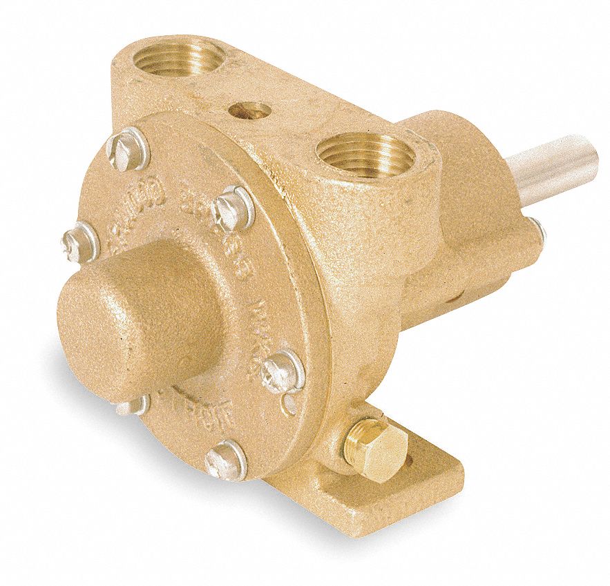 1/3 HP Bronze/Brass Housing and Cover Flexible Impeller Pump Grainger