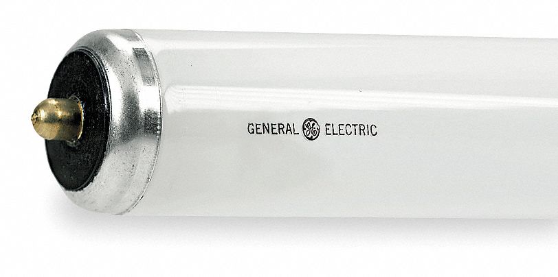 Alvorlig Udfyld Blå CURRENT, T12, Single Pin (FA8), Linear Fluorescent Bulb - 3JK14|F96T12/DX -  Grainger