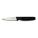 PARING KNIFE,3-1/4 IN,SCALLOPED,BLA