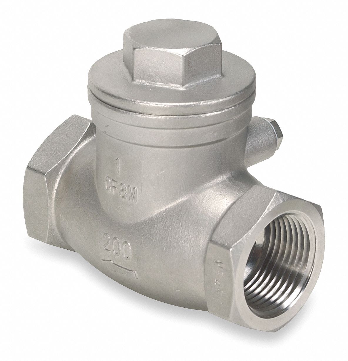 Check Valve 1 2 Single Inline Swing 316 Stainless Steel Fnpt X Fnpt