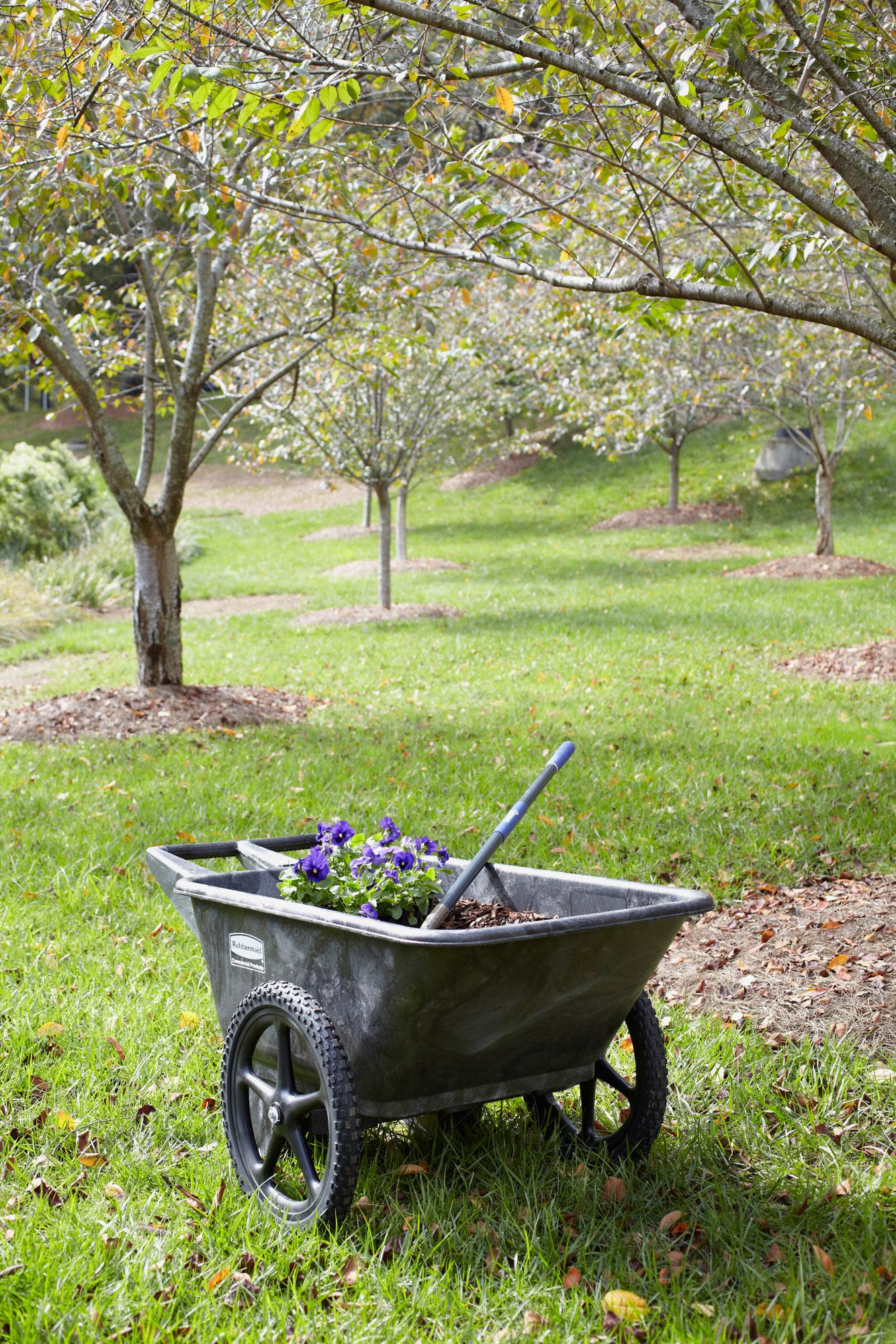 RUBBERMAID COMMERCIAL PRODUCTS Wheelbarrow 4W504FG564200BLA Grainger