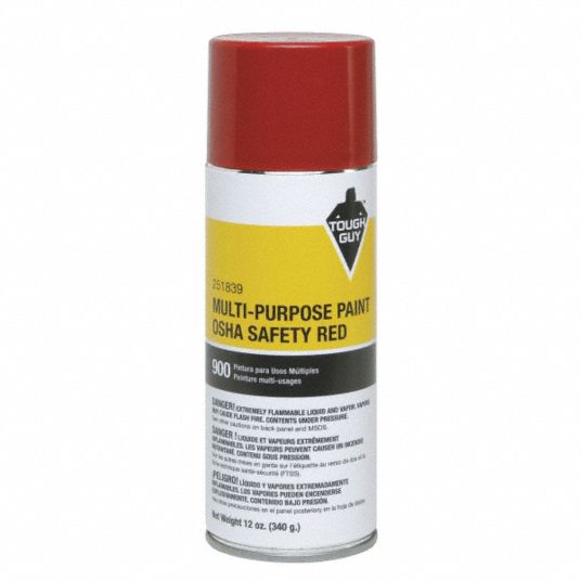 Durable Structural Spray Paint - 12oz Can – Structall Building Systems