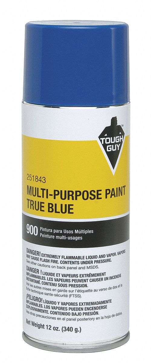 TOUGH GUY Spray Paint in Gloss True Blue for Masonry, Metal, Wood, 12