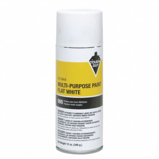 TOUGH GUY Spray Paint in Flat White for Masonry, Metal, Wood, 12 oz