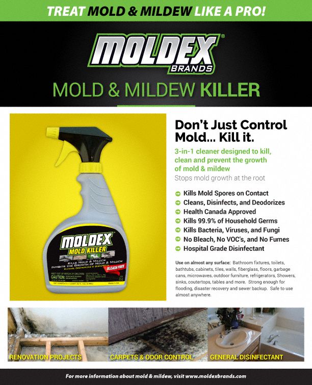 MOLDEX Mildew and Mold Remover, 32 oz Trigger Spray Bottle, Unscented