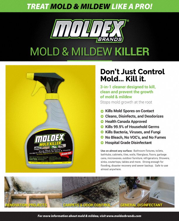 MOLDEX Mold Mildew Remover: Trigger Spray Bottle, 32 Oz Container Size ...