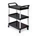 Dual-Handle Utility Carts with Lipped Plastic Shelves