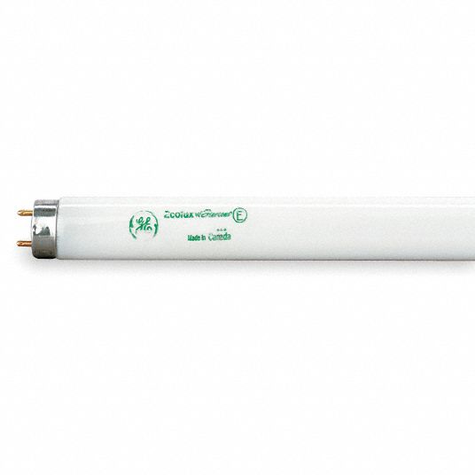 GE LIGHTING Linear Fluorescent Lamp, T8, 5000 K Color Temperature