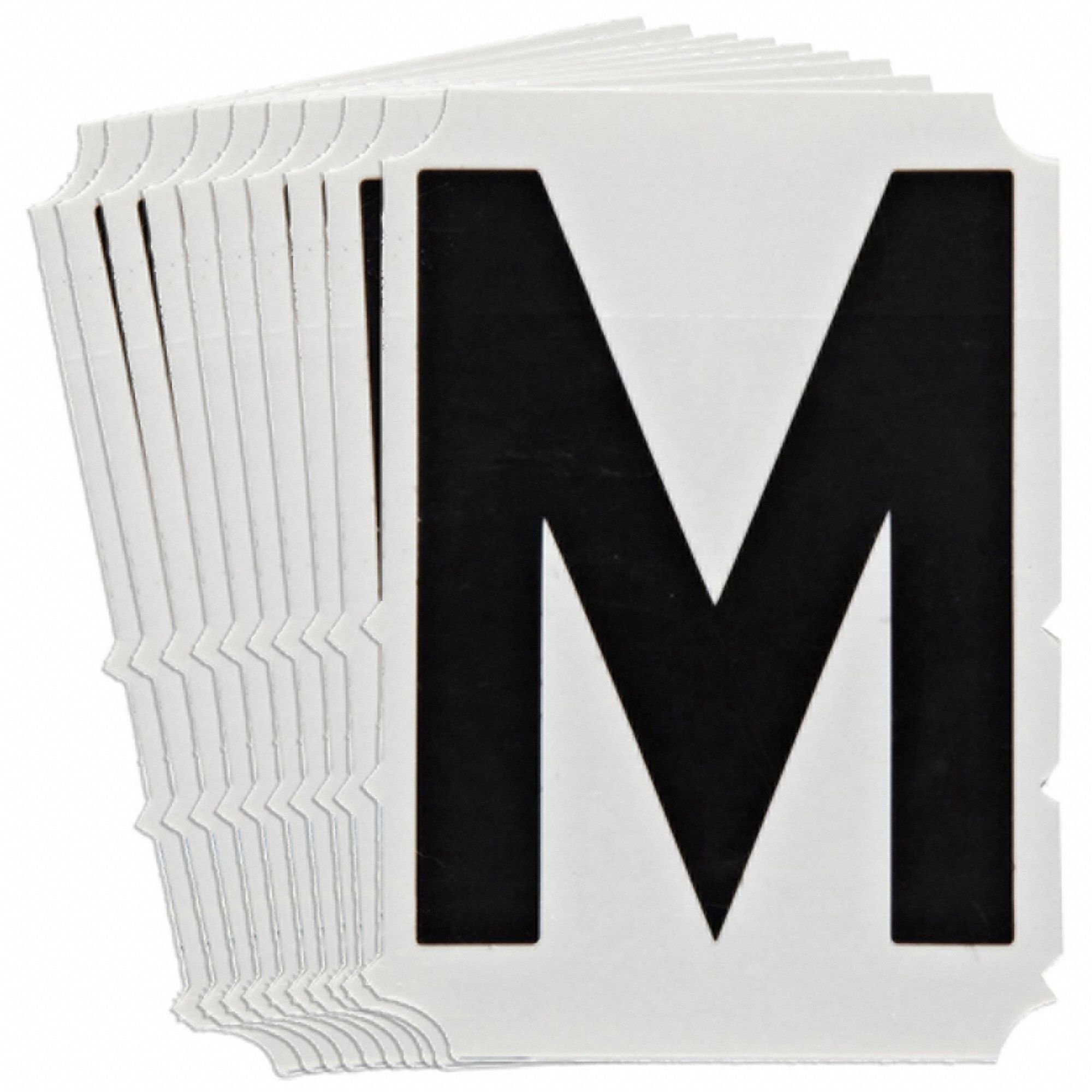 LetterLabel, Polyester, 6-3/4inH, 5inW, PK10