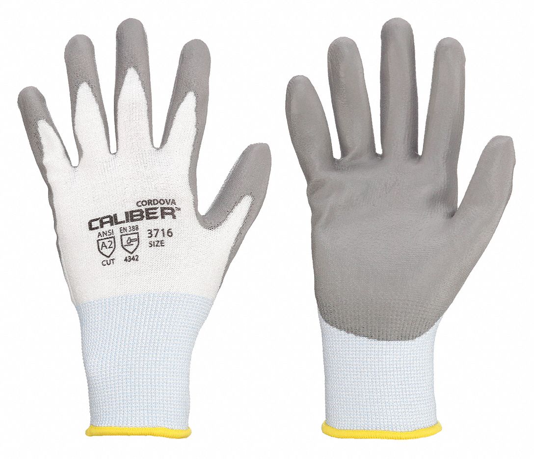 Cut Resistant Gloves, Whte, Cut LevelA2, PR