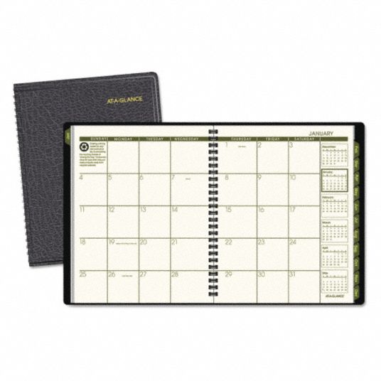 AT-A-GLANCE, 6-7/8 x 8-3/4 in Sheet Size, One Month Per Two-Page Spread ...