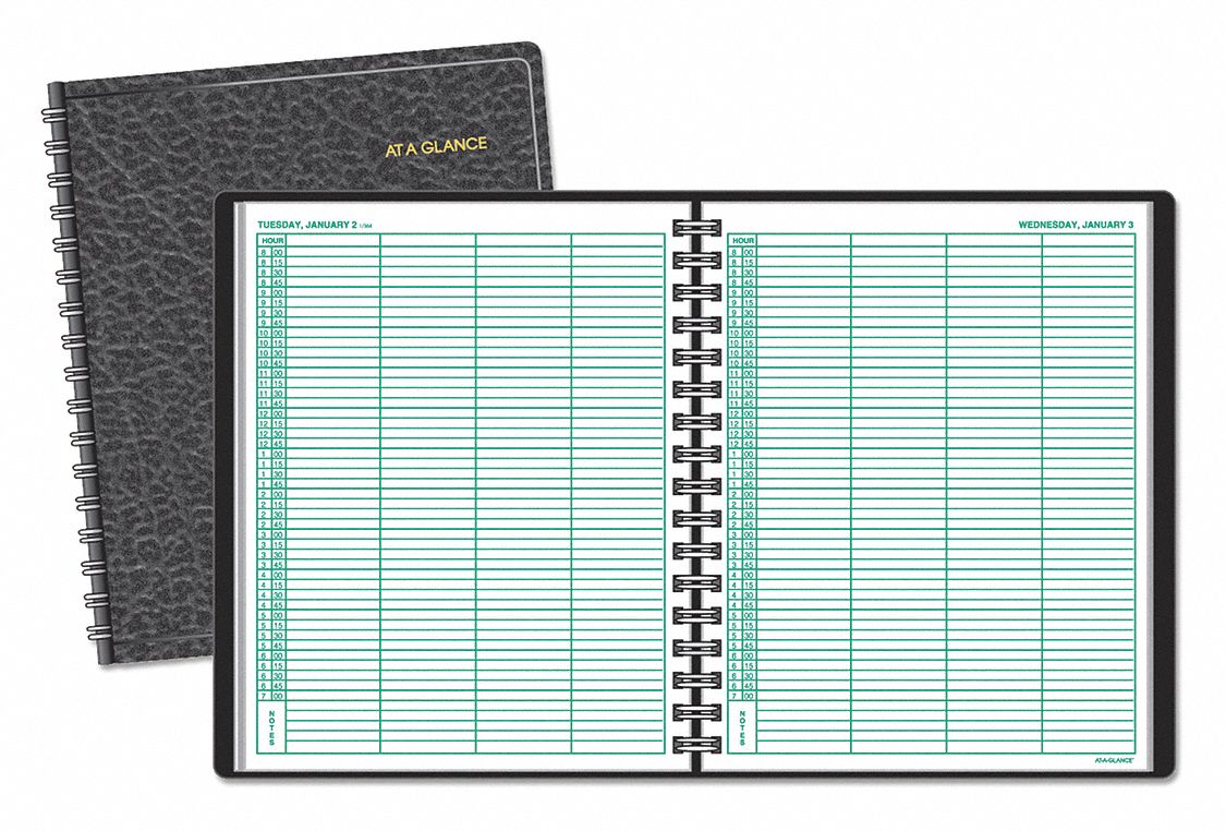 ATAGLANCE Planner, Format One Day Per Page, Sheet Size 8 x 107/8 in