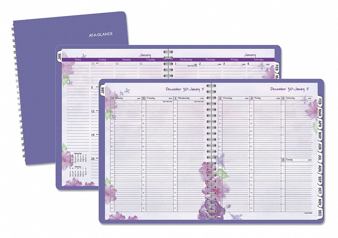 At a glance 8 1 2 x 11 in sheet size appointment book 52dp40 938p