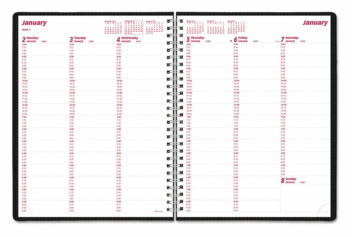 Planner: 8-1/2 x 11 in Sheet Size, One Week per Two-Page Spread