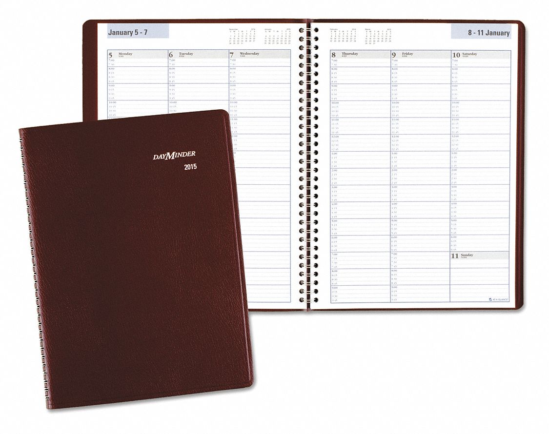 AT-A-GLANCE, 8 in x 11 in Sheet Size, Weekly, Appointment Book - 52DP78 ...