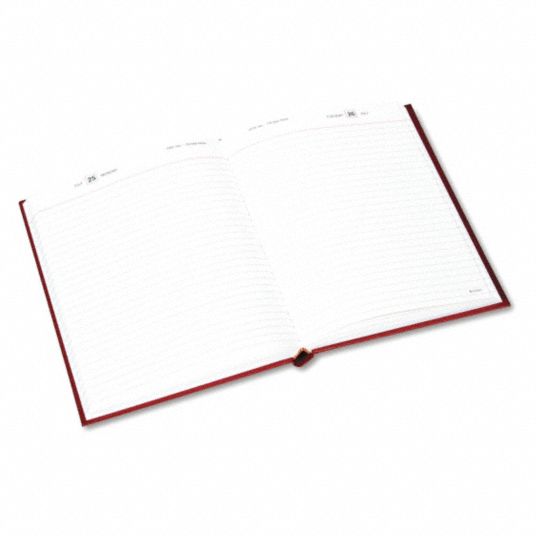 ATAGLANCE, 71/2 in x 97/16 in Sheet Size, Daily, Planner 52DR04